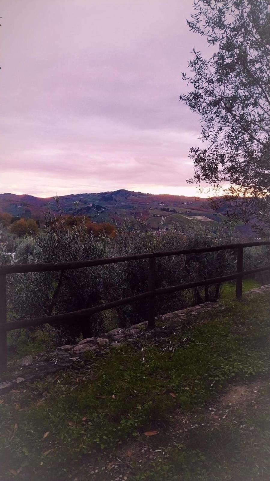 Agriturismo La Camporena Greve in Chianti Bagian luar foto