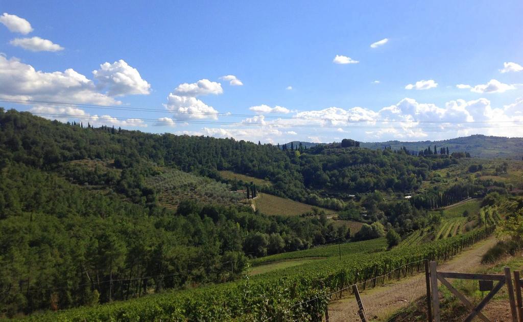 Agriturismo La Camporena Greve in Chianti Bagian luar foto